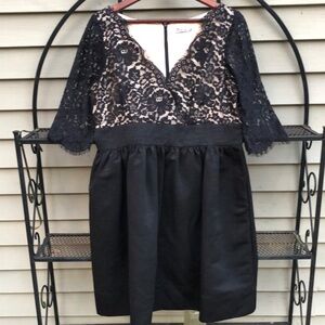 Eliza J Black Lace Long Sleeve Dress 16